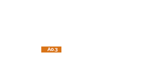 A03