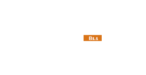 B11